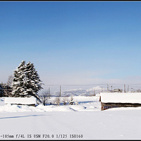 ��ɫ������