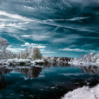 ������Ӿ� ����������