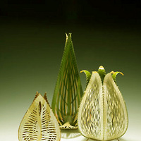 ̾Ϊ�ۡ�ֽ��������ֽ�������ŨŨʫ��