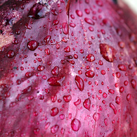 ����΢����Ӱ��Ƭ