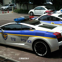 ���������ݻ��ĺ�������