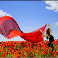 �Һʹ����и�Լ��(��ͼ����)