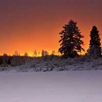 ������ֽ����Ŀ����