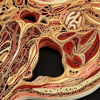 �ף�ֽ��Ů������