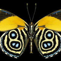 ����˴���������