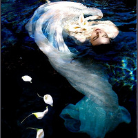 ��ν����--��ˮһ��!(��ͼ����)