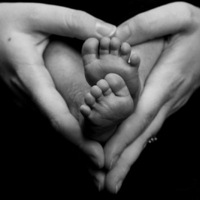 ��������~ �����е�����˵����