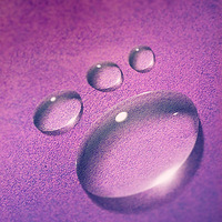 ˮ�Ρ����ݵ���ܰСƷ