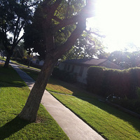 ��ɼ����ѧ���ռǣ��Ҿ�Ȼ����֩����