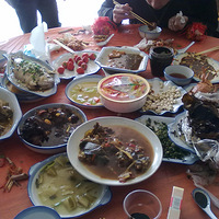 ��³�ȳ��ѻ�鳵����--��ľ�У�