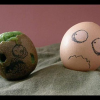 ����һֻż�����ȵĵ�������