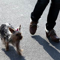 ����������