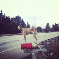 ������������ô~~