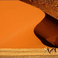 ���������Ӱ����