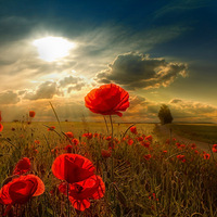 �¹�רҵ��Ӱ