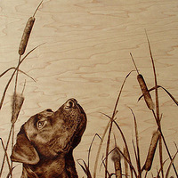 ��ս�����򣡹�����ֻ��Ƶ��ӻ�