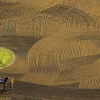 ������Ӱ �������������澰