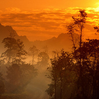 Ϧ�����޺� ֻ�ǽ��ƻ�