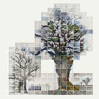 ��Խʱ�����ľ������