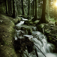 ���ٲ���