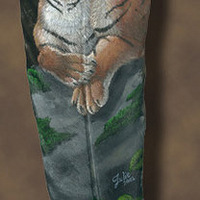 ̾Ϊ��ֹ����ë��������