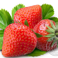 ʳŶ9ʳ