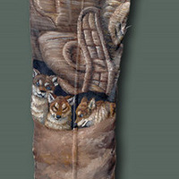 ̾Ϊ��ֹ����ë��������