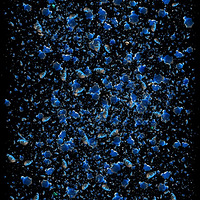 ����������������