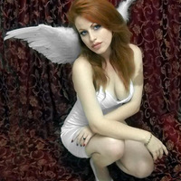 Ư����������ʹ��Ƭ