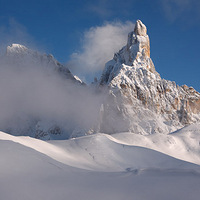 ���ؿ�Ұ�����ʷ����Ӱ����