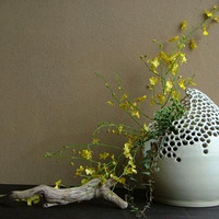 ������������ƿ