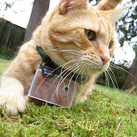 ������һλè����Ӱʦ ���ٰ������Ʒչ