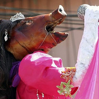 ���ɱ�������������