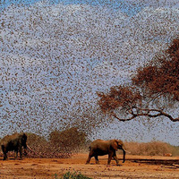 ����ȸȺ���ϴ��� ������