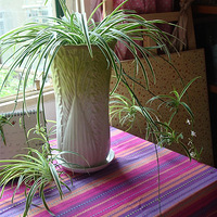 лҵĺš+ҵԵ~ O(_)O~