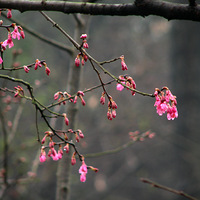 ��ԭ����̫���幫԰��ɽӣ������