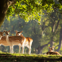 ������ֽ����������֮���ش��