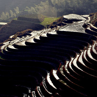 ��ʤ����