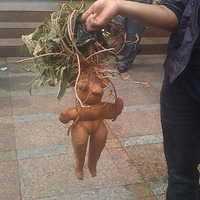 Χ�ۣ����˲γ��û������˵Ķ���