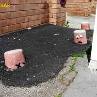 ���ʿɰ��Ľ�ͷ����