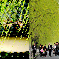 ���ݵĴ��������ˣ�������������Ҳ�Ƴ���ѿ�ˡ���