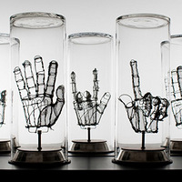 ������˿����Ʒ