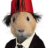 ��Ц����COS���� ���ܿ�����˭��