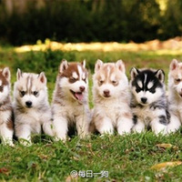 Цáͷ治ףҪȣҪʵ~