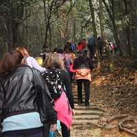 ���ݶ�����ɽȺ ��ĩ�����߷� ���Լ�������