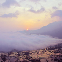 Ԫ������--���������糿