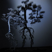 ���Ӿ�����������