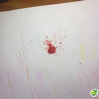 ţ���ò�ɫǦ�ʻ�ĵ�� ��������