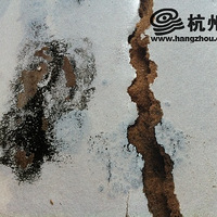 ������˽����һ�ż�˹������ һ�겻�����ζ���