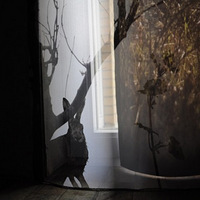 �Ѵ���Ȼ�����